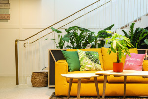 Photo Studio de 17m2 n° 6
