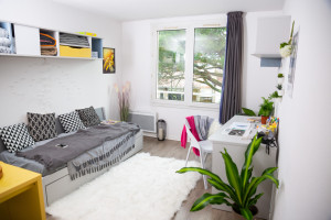 Studio à partir de 19m² meublé et équipé