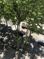 Photo Résidence étudiante Villeurbanne, location T2 de 33m² à 35m2 n° 21