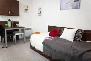 Photo Studio à partir de 14m² meublé et équipé n° 7