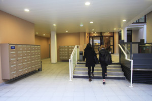 Photo T2 de 31 m² n° 2