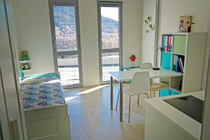 Photo Studio of 19 m² in modern student residence n° 11