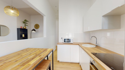 VENTE - colocation louée - T4 meublé de 60 m² à la Joliette