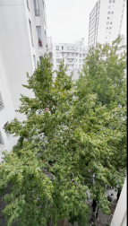 Photo 8 de l'appartement