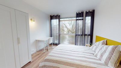 Chambre disponible pour colocation dans un spacieux T4 - Mont Saint Aignan