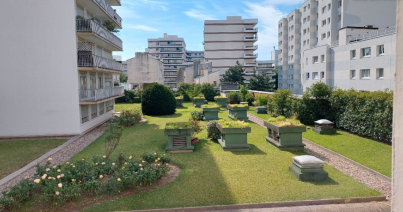 Annonce