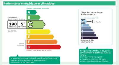 Photo 11 de l'appartement