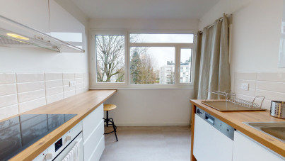 Chambre disponible pour colocation dans un spacieux T4 - Mont Saint Aignan