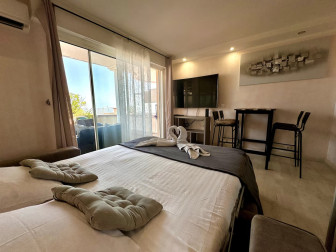 VENTE - charmant studio avec terrasse, vue mer et piscine !