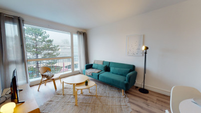 Chambre disponible pour colocation dans un spacieux T4 - Mont Saint Aignan