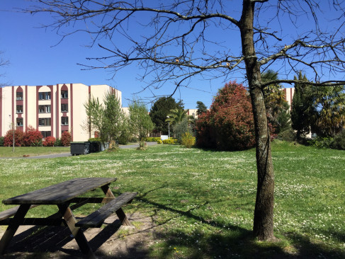Résidence All Suites Study Pessac Canéjan - Canéjan - Studio - ImmoJeune