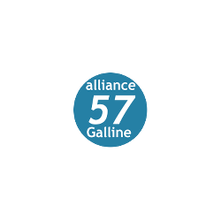 Alliance 57 Galline
